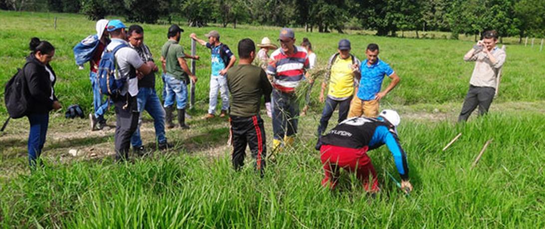 El Tarra Colombia Reintegration - Farm