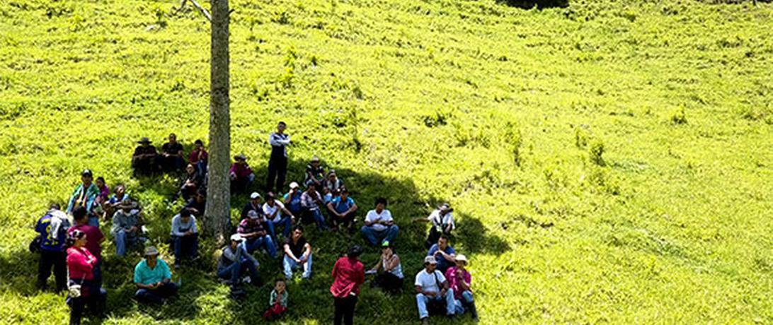 Ituango School for Colombian Re Integration - Farming