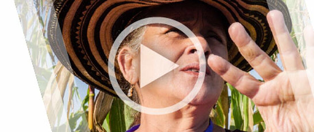 Alternative Crops - Coca - Colombia