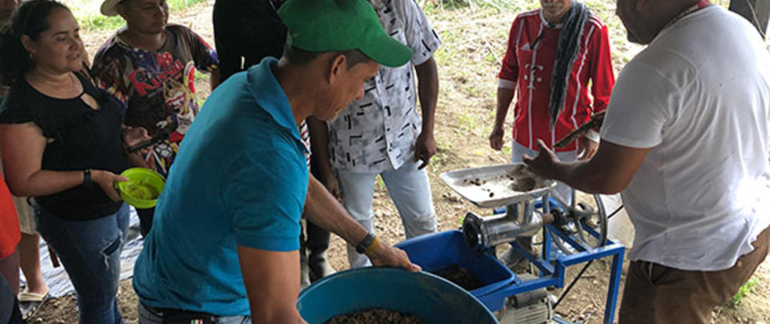 San José colombian re-integration school Finca