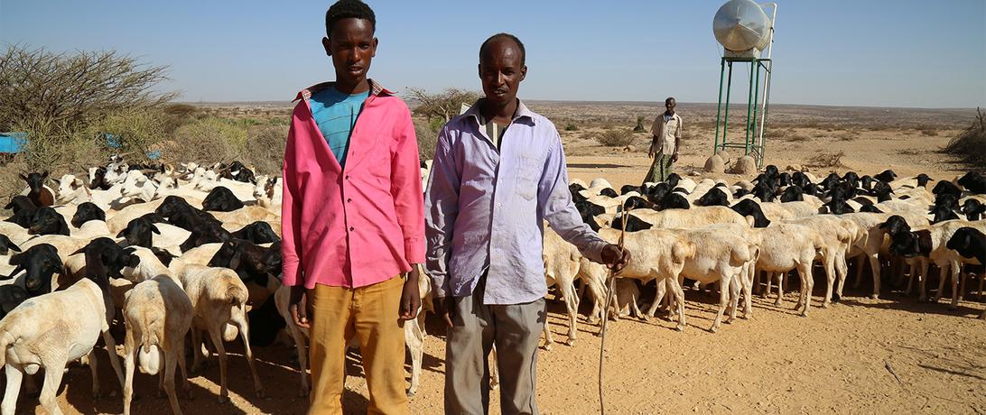 Somali Farming and Agriculture