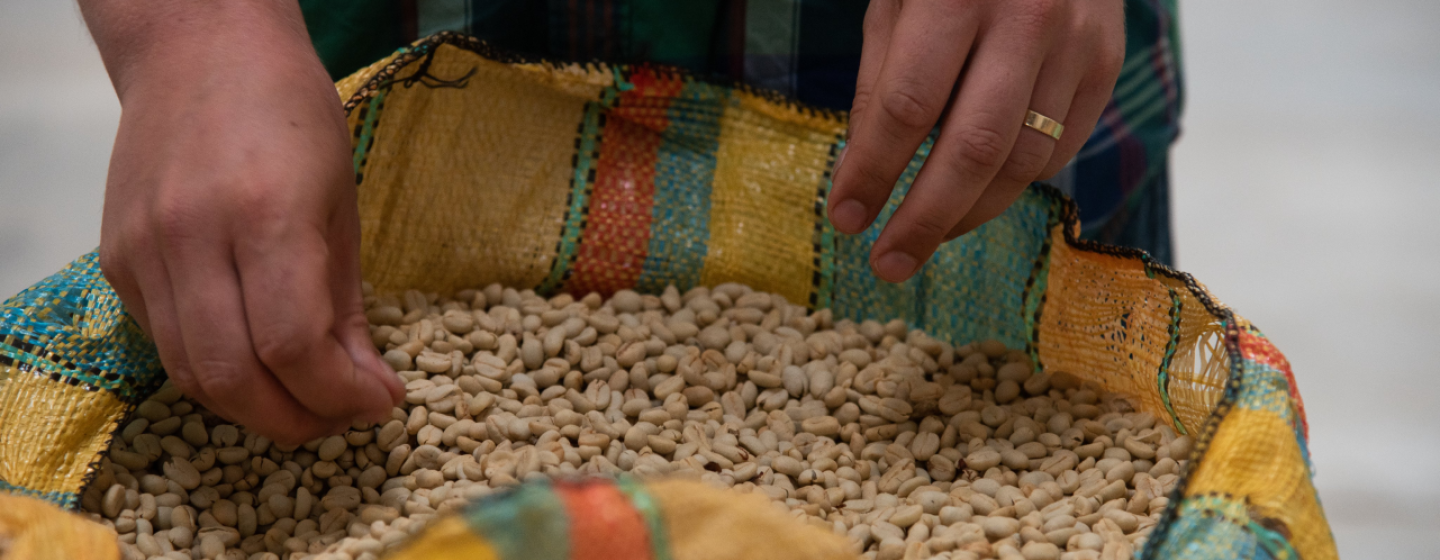 Paso Columbia Header Image