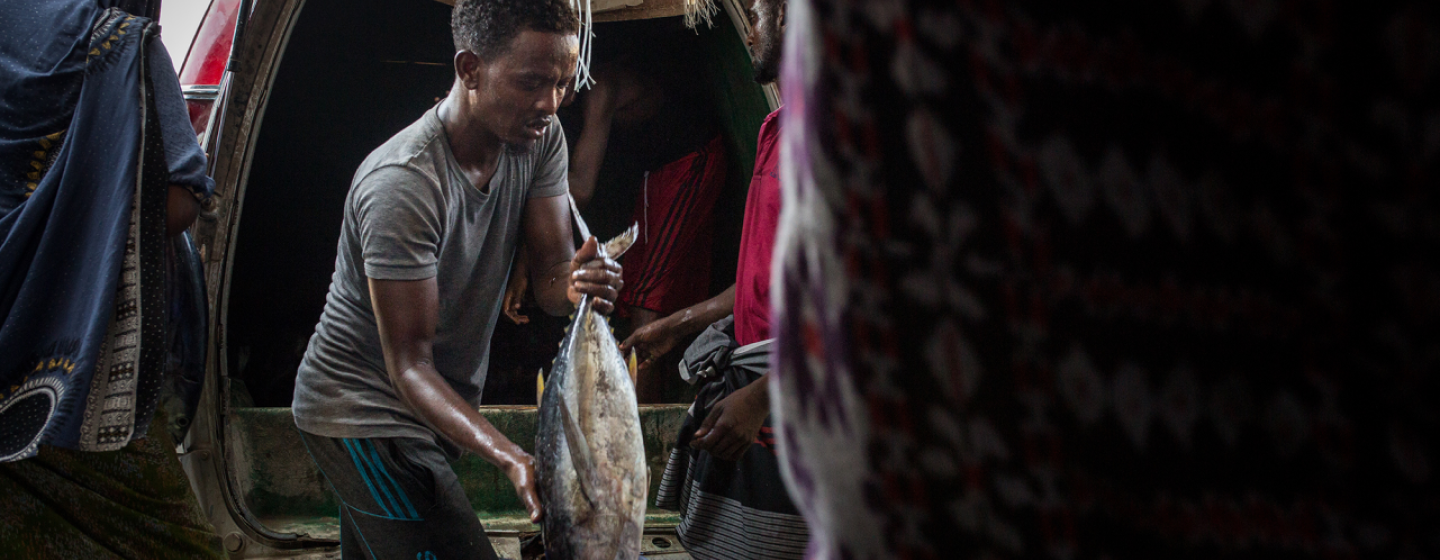 Secure Fisheries Header