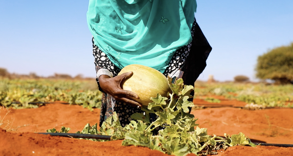 Woman holding farm product