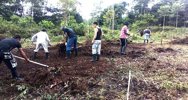 Colombian School for Farming