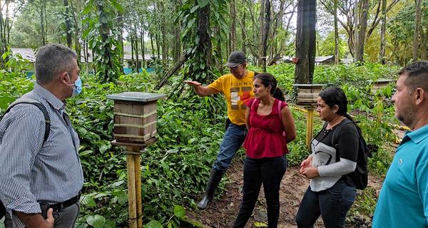 Recorrido por las colmenas con estudiantes