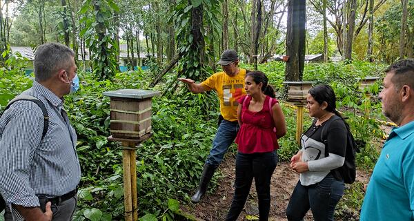 Students in front of a bee hive