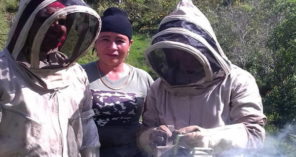 Beekeeper in Colombia