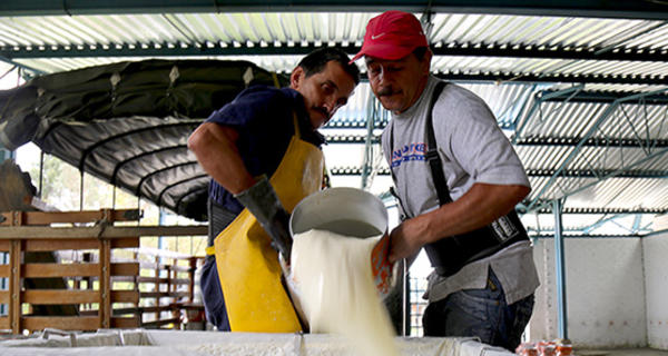 Dairy in Colombia