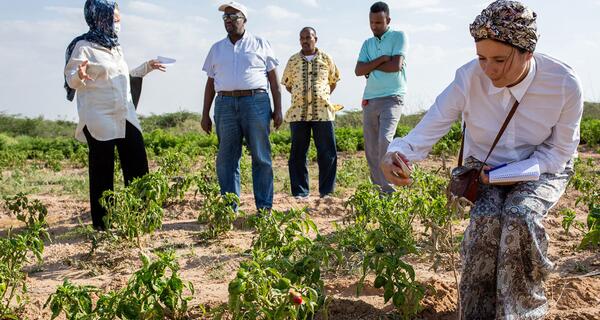Huruuf Farm in Hargeisa.