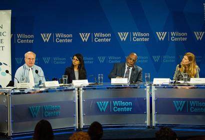 Wilson Center Public Panel Image