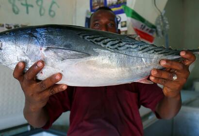 World Tuna Day May-2-2018