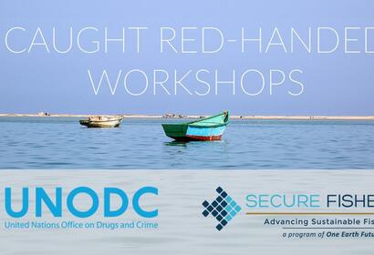 caught red handed workshops.jpg
