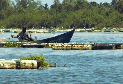 Blog Series Explores Mounting Conflict over Lake Victoria Fisheries