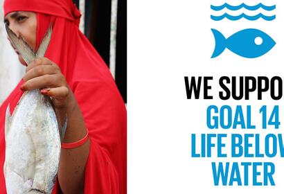 life_below_water_secure_fisheries-2