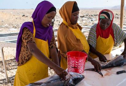 Somali stakeholders from fishing businesses