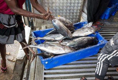 Man holding fish