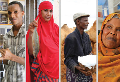 Somali entrepreneurs