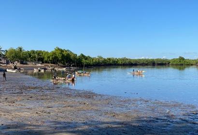 Madagascar Mangroves