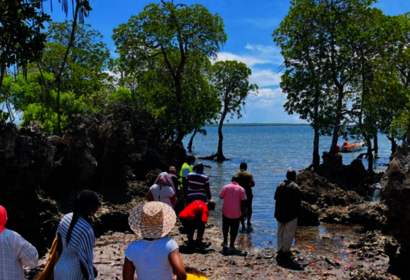 Kenyan Mangroves Exchange Image