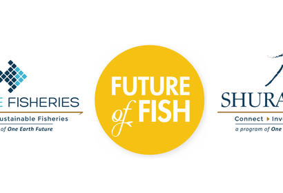 Future of fish mou image