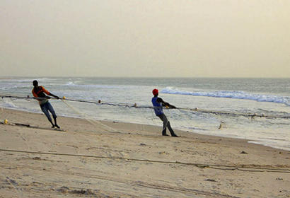 Fishing from beach with net