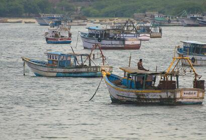 Fish Wars: How fishing can start and stop conflict