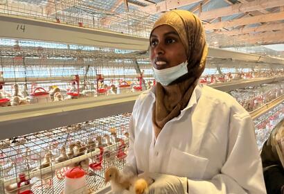 Female farmer holding a baby chick inside a structure that holds hundreds of baby chicks in clean cages