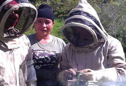 Beekeeper in Colombia