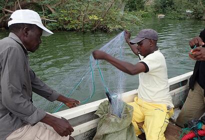 Researching future of Lake Victoria fisheries