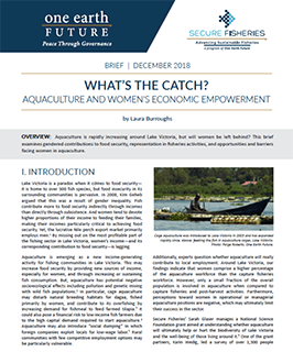 thumbnail cover of brief