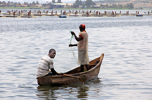 cage aquaculture lake victoria