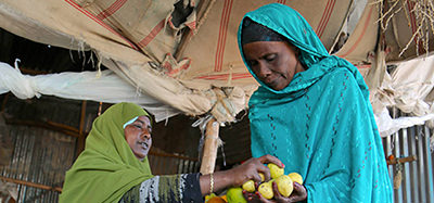 THE WOMEN’S ECONOMIC EMPOWERMENT PROGRAM